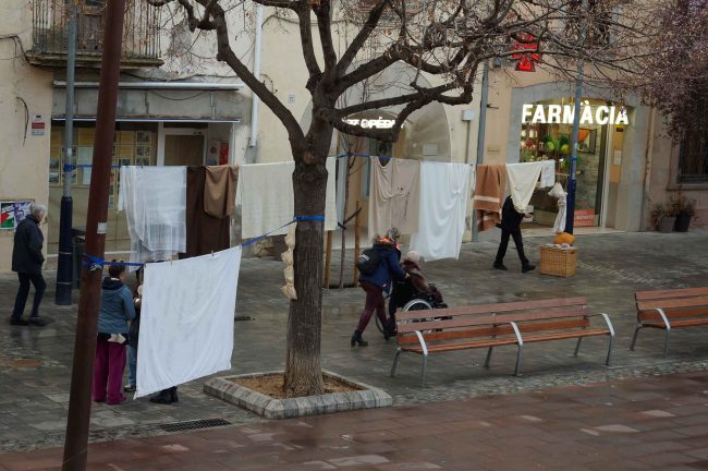 lesmireies-projecte-cos-1-1