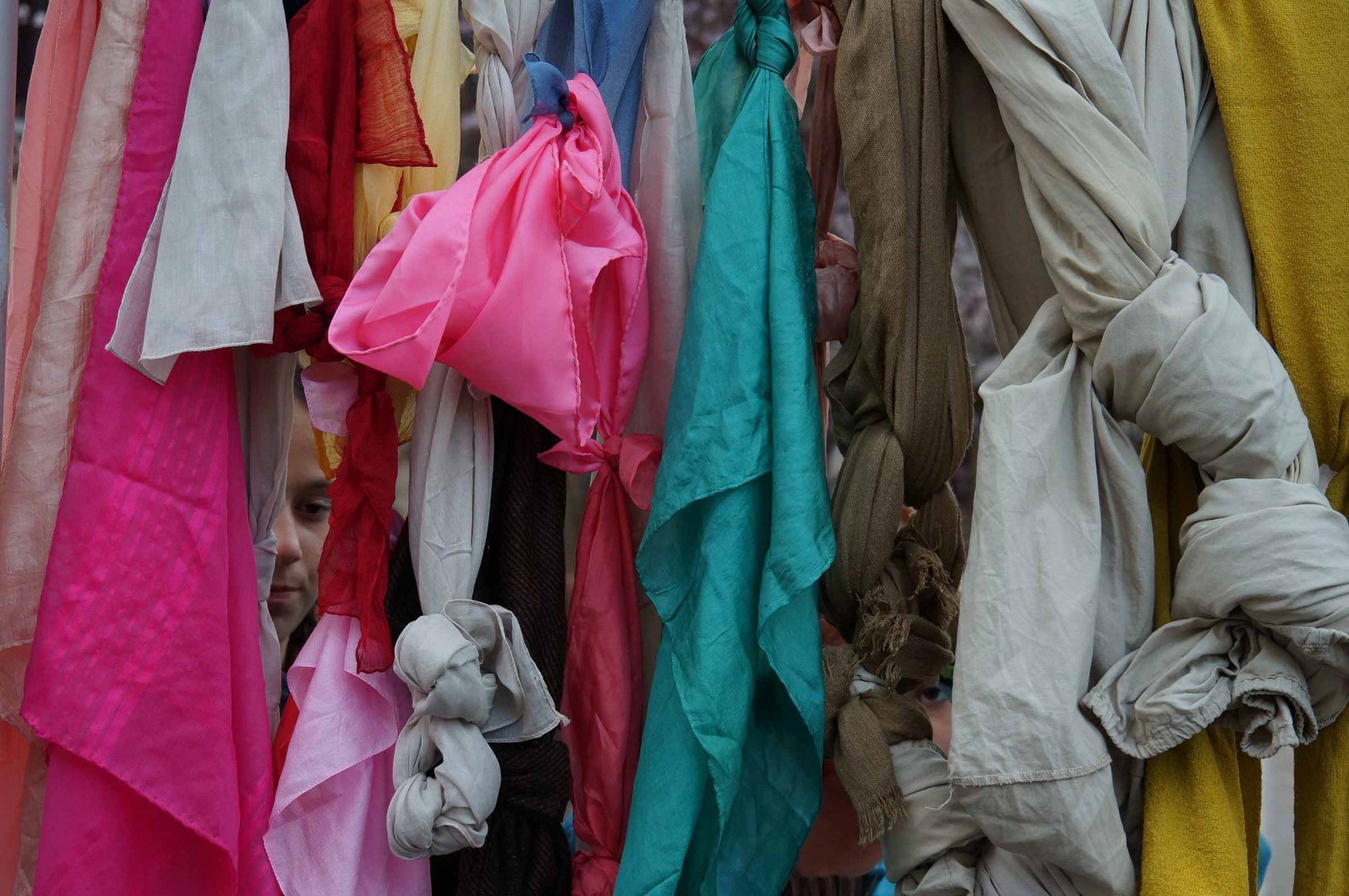 lesmireies-projecte-cos-5