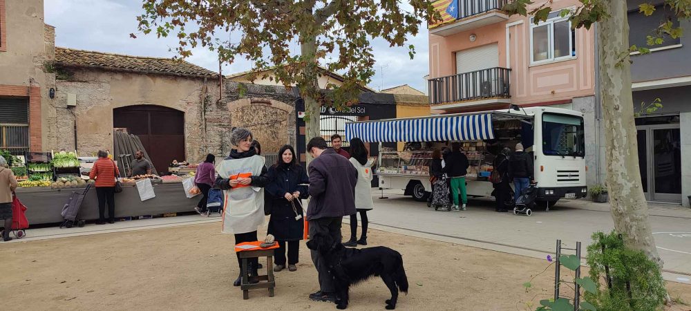 Les Mireies Projecte AIRE!