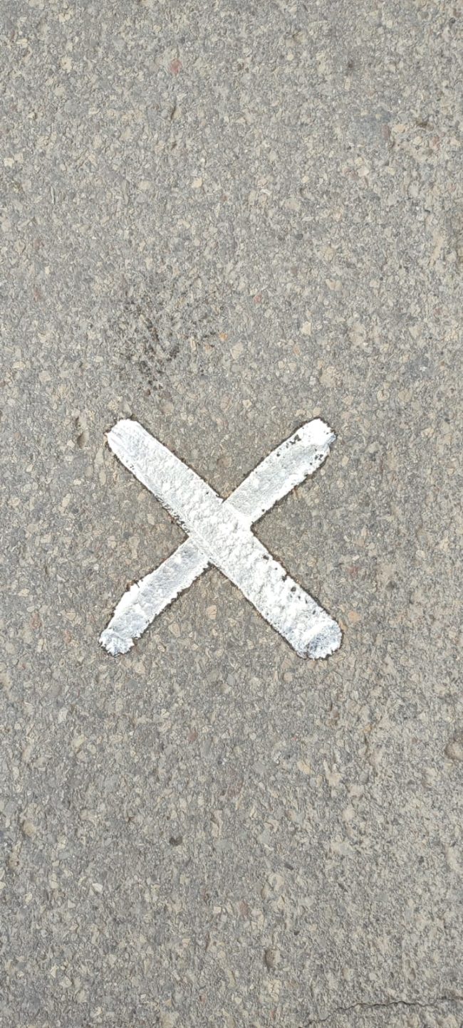 Les Mireies Projecte ENTRE NOSALTRES.