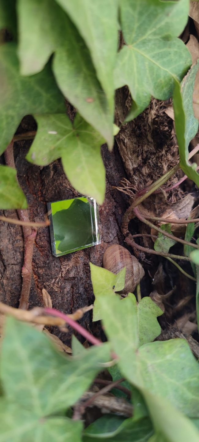 Lesmireies-projecte-entre-nosaltres-7